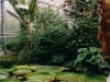 Tropenhaus 6